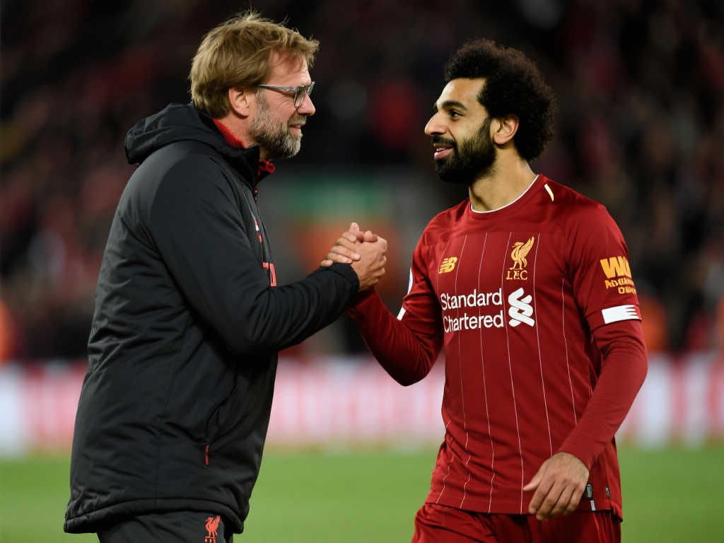 这一切并不 这一切并不